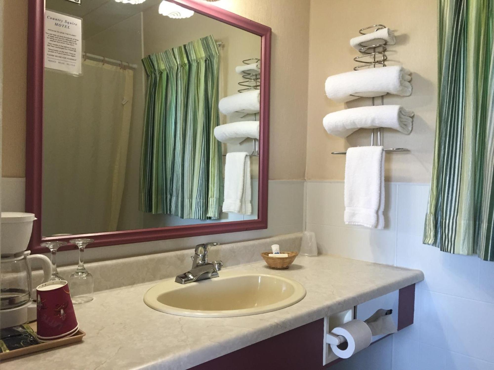 Country Squire Motel Arnprior Ruang foto